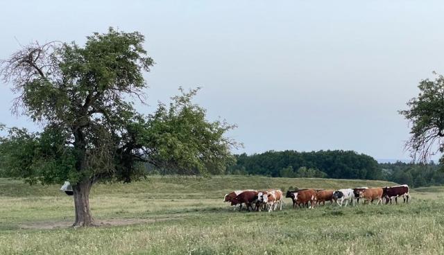 IMG-20220618-WA0011 zugeschnitten groß.jpg